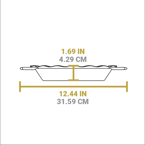 9 Inch Seasoned Cast Iron Pie Pan