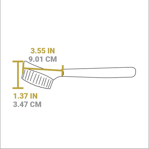 10 Inch Scrub Brush